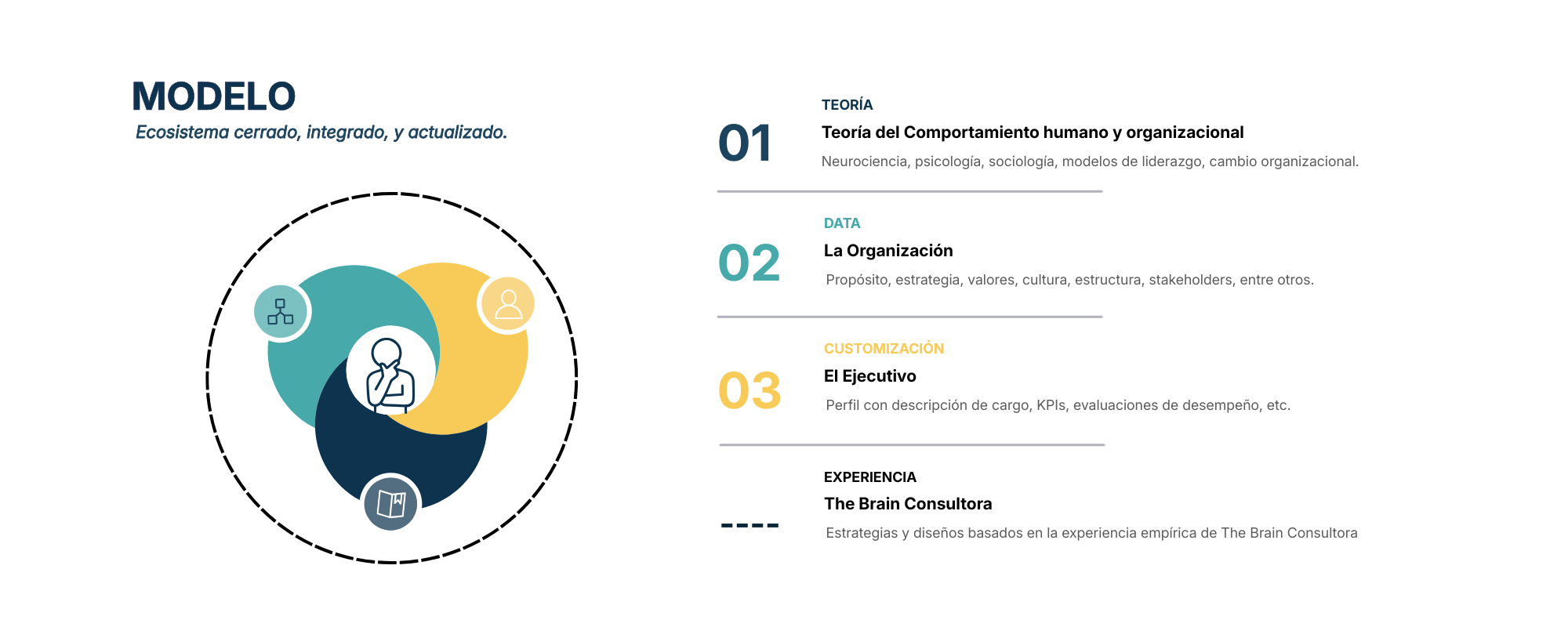 Modelo: Teoría, Data, Customización, Experiencia